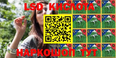 шишки Славгород