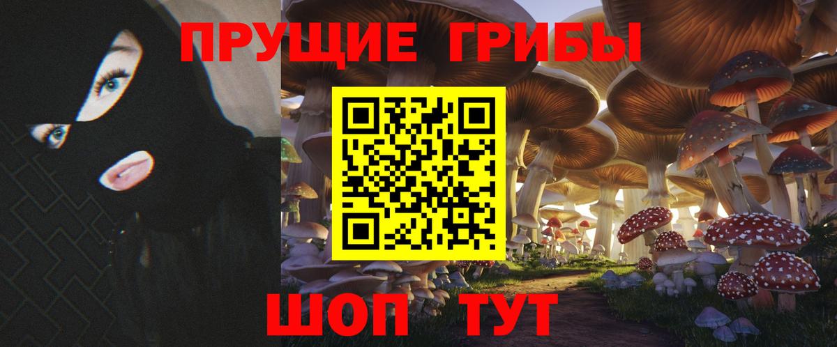 Алатырь  Псилоцибиновые грибы прущие грибы  Вход с VPN 